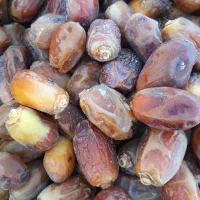 خرمای زاهدی درجه یک، فروش مستقیم از تولیدکننده|عمده‌فروشی|بوشهر, |دیوار