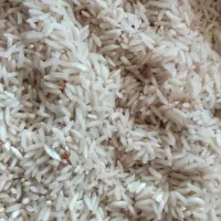 برنج طارم درجه یک 1200 کیلو