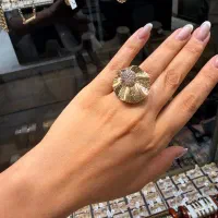 طلای اقساط  با شرایط ویژه