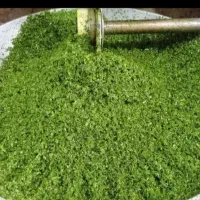 سبزی کده دهکده برکت