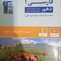 سیرتا پیاز دهم