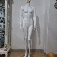 لوازم مغازه|فروشگاه و مغازه|کرج, شهرک نهال و بذر|دیوار