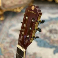 گیتار ریچارد بونل|گیتار، بیس، امپلیفایر|شهریار, کهنز|دیوار