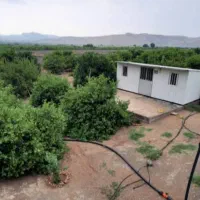 فروش باغ ۵۰۰۰ متری گچساران|فروش زمین و ملک کلنگی|دوگنبدان, |دیوار