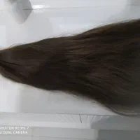 گیره مو|آرایشی، بهداشتی، درمانی|سنندج, |دیوار