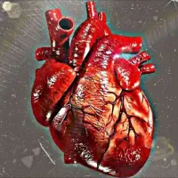 تدریس خصوصی زیست شناسی وشیمی نهایی وکنکوری(تضمینی)