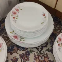 ظروف آرکوپال نونو