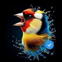 سره سره قناری دیندار  سره دورگ دیندار قد قوار دار