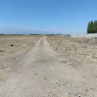 زمین باغ|فروش زمین و ملک کلنگی|نمین, |دیوار