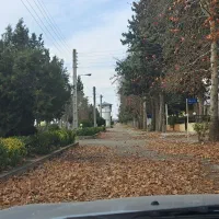 زمین ۷۵۰ متری شهرکی با ویوی جنگل و کوه