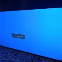 تلویزیون 49 اسنوا ال ای دی|تلویزیون و پروژکتور|نیشابور, جمهوری|دیوار