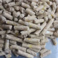 سوپراستارترباآنالیزدان پارس شرکتی مرغ بوقلمون جوجه|لوازم جانبی حیوانات|تهران, شمس‌آباد|دیوار