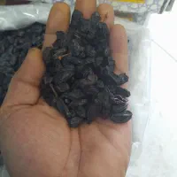 کشمش آبگیری خوب