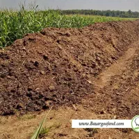 کود گوسفندی آغلی درجه یک