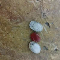 فروش سنگ عقیق دور کارگر گچساز هستم و دوغاب ریز