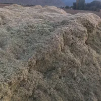 کاه|لوازم جانبی حیوانات|فیروزآباد (فارس), |دیوار