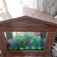 آکواریوم ۳عددباکلبه ولوازم وتزئینات