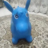 اسب بادی خارجی