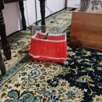 سهره ۳سال قفس|پرنده|کرمانشاه, |دیوار