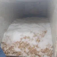 غذاسگ .ضایعات پای مرغ .پای مرغ