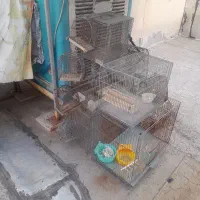 قفس|لوازم جانبی حیوانات|اراک, |دیوار