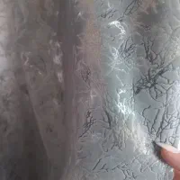 پرده پزیرایی بزرگ