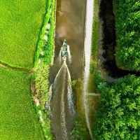 امروز ویلا نخری،فردا گرون تره