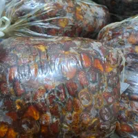 خرمای مرداسنگ کیلویی 280
