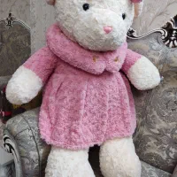 خرس شاسخین|اسباب‌بازی بچه|پاکدشت, پاکدشت (مامازند)|دیوار