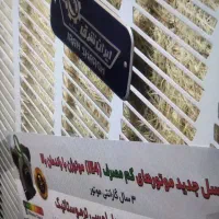 کولر آبی