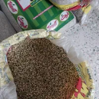 فروش بذرهای یونجه نخود فرنگی پیاز باقله لوبیا گندم|خدمات باغبانی و درختکاری|داراب, |دیوار