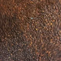 رست قهوه اجرتی