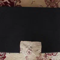 باند پایونیر