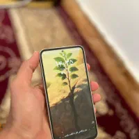 سامسونگ A54 128|موبایل|شادگان, |دیوار