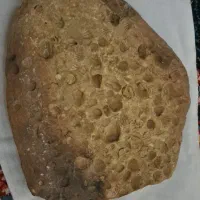 فسیل دریایی
