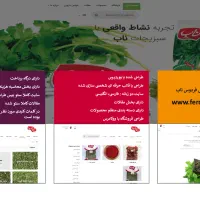 سایت جذاب یا فروشگاه اینترنتی عالی میخوای من هستم|خدمات رایانه‌ای و موبایل|مشهد, فارغ التحصیلان|دیوار
