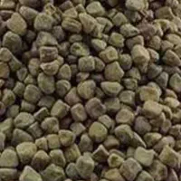 هُلَر درجه یک تمیز (عدس قدیم)