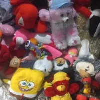 عروسک‌های مختلف