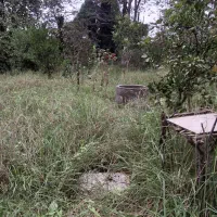 زمین باغی روستایی4350مترباامتیازات براسفالت سنگر|فروش زمین و ملک کلنگی|سنگر, |دیوار