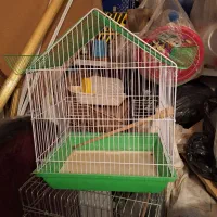 مربوط به پرندگان