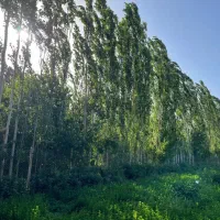 باغ در روستای گردشگری هشتادان