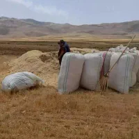 خریدکاه