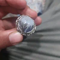 شجر قائن|جواهرات|نهاوند, |دیوار