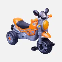 پخش انواع سه چرخه رکسانا