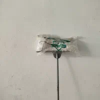 طی نوع