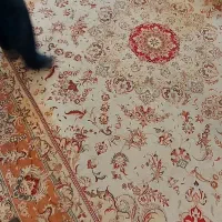 فرش ماشینی دوازده متری