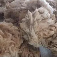 پشم گوسفند|رختخواب، بالش، پتو|خمینیشهر, |دیوار