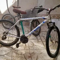 دوچرخه 26 ویوا