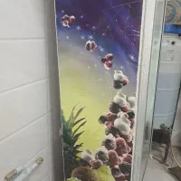 یخچال فریزر|کافیشاپ و رستوران|بهارستان, |دیوار