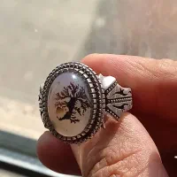 شجر تک درخت قائن|بدلیجات|کرمانشاه, |دیوار